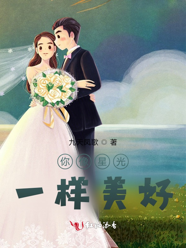 你像星光一样美好小说封面