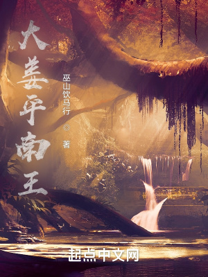 《大姜平南王》封面