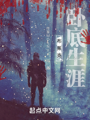 《布莱克卧底生涯》封面