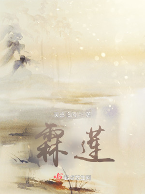 《霖莲》封面