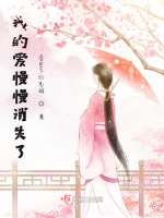 我的爱慢慢消失了