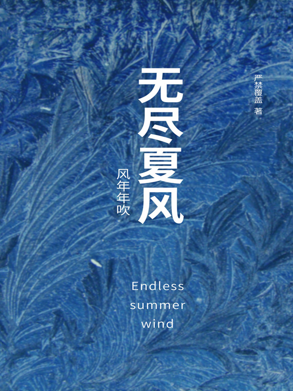 无尽夏风小说封面