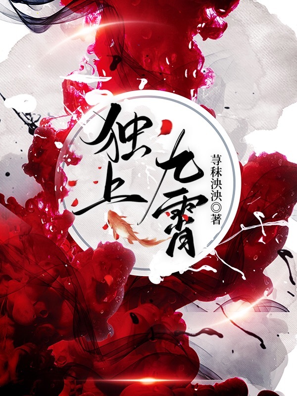 独上九霄小说封面