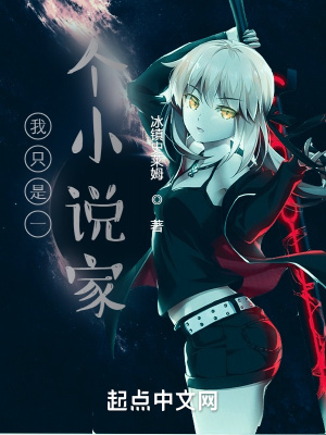 《我只是一个小说家》封面
