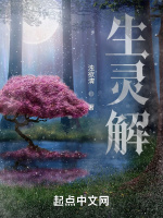 生灵解