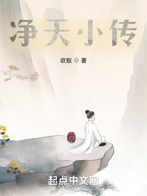 《净天小传》封面