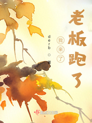 《我来了老板跑了》封面