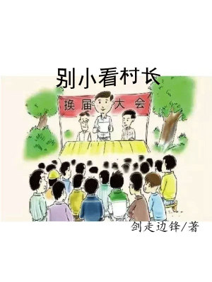 《别小看村长》封面