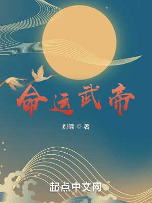 《命运武帝》封面