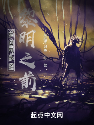 《异世奇录之黎明之前》封面