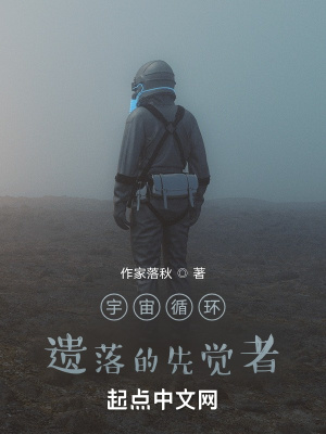 《宇宙循环：遗落的先觉者》封面