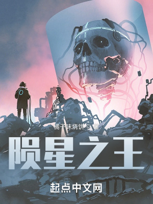 《陨星之王》封面