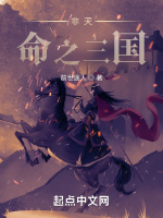 非天命之三国