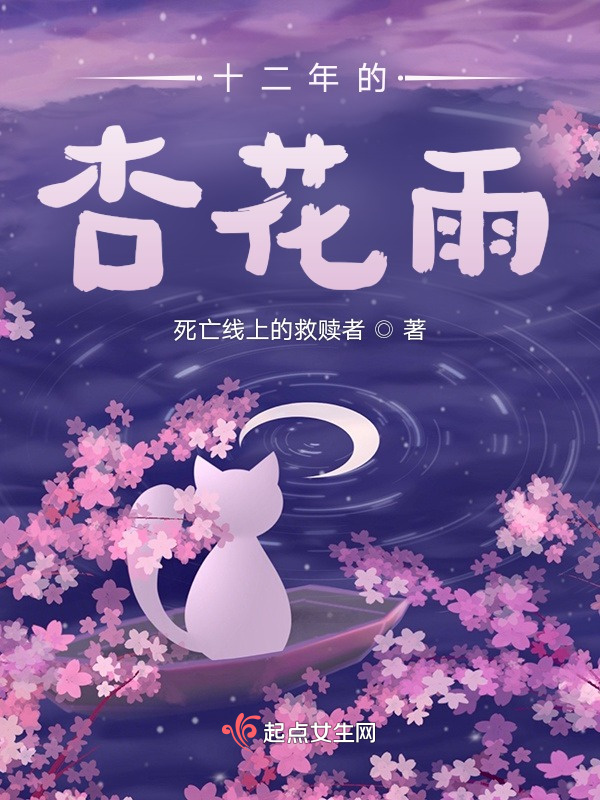 十二年的杏花雨小说封面
