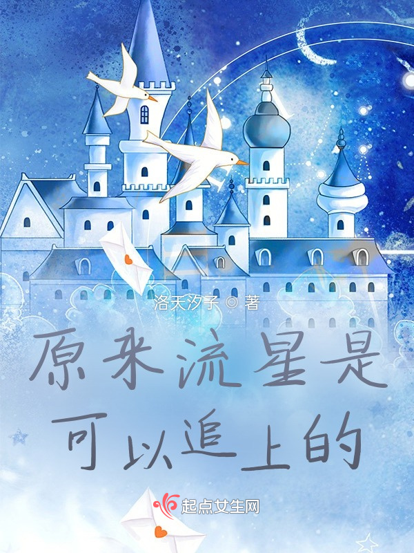 原来流星是可以追上的小说封面
