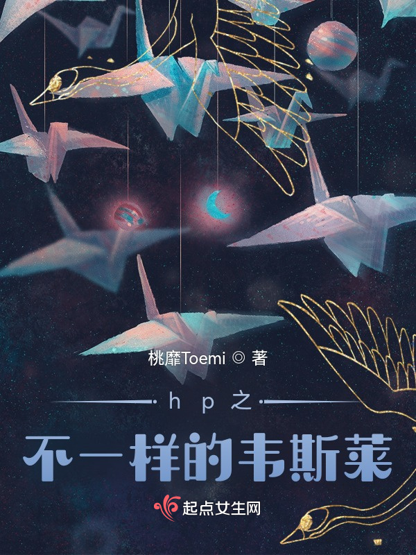 hp之不一样的韦斯莱小说封面