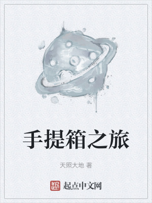 《手提箱之旅》封面