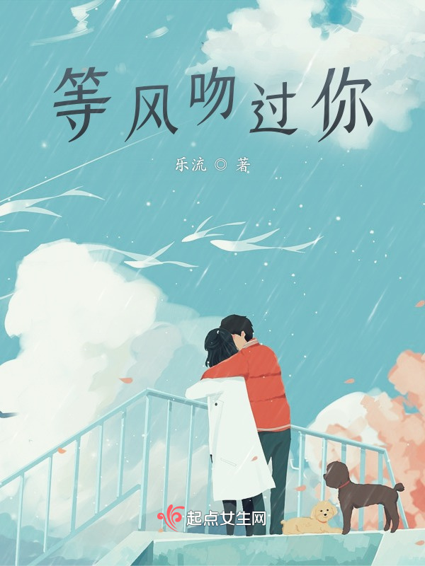 等风吻过你小说封面
