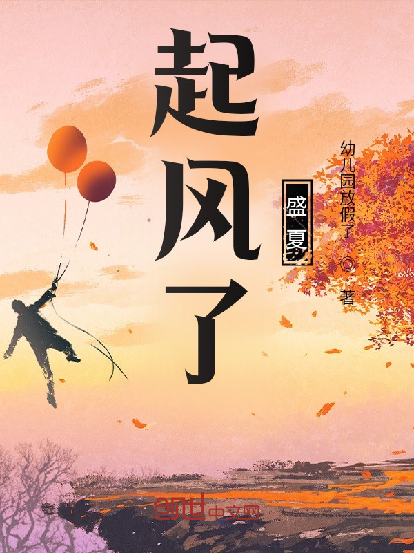 起风了，盛夏小说封面