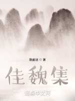 佳魏集