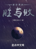 新世界的胜与败