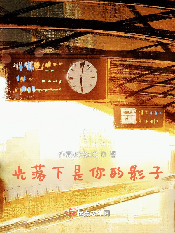 光落下是你的影子小说封面