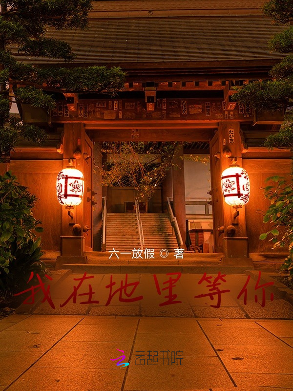 我在地里等你小说封面