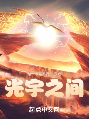《光宇之间》封面