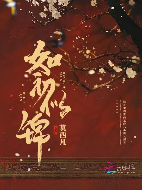 如初似锦小说封面