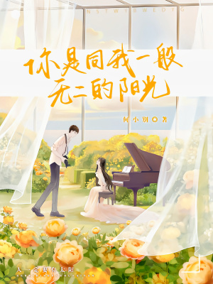 《你是同我一般无二的阳光》封面