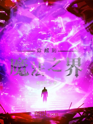 《穿越到魔法之界》封面
