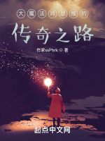 大魔法师瑟维的传奇之路