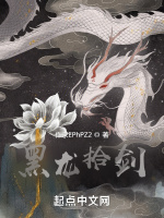 黑龙拾剑
