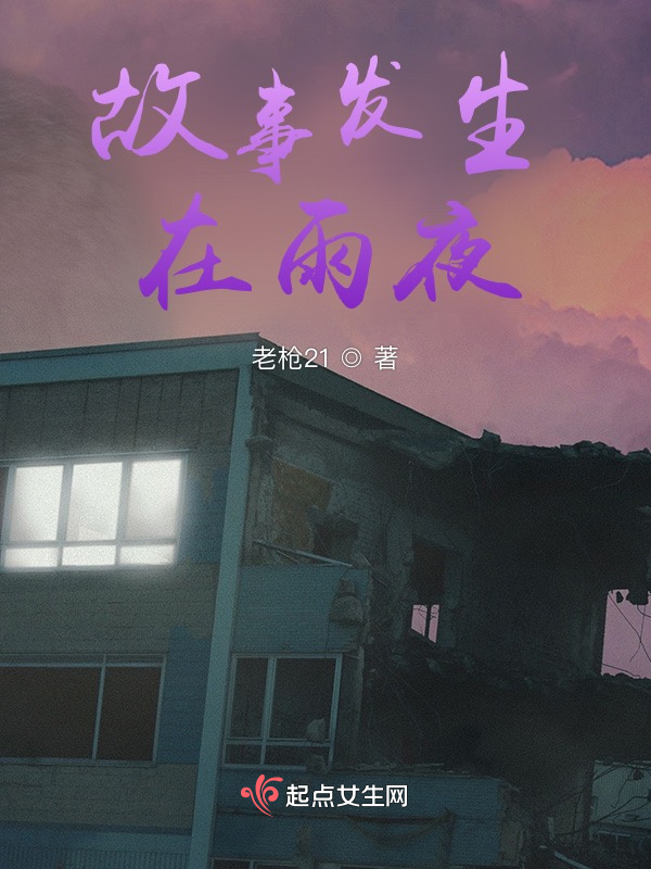 故事发生在雨夜小说封面