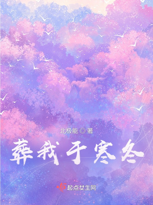 《葬我于寒冬》封面