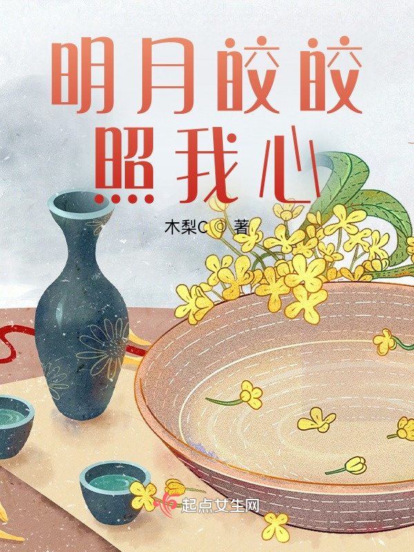 展昭同人之明月皎皎照我心小说封面