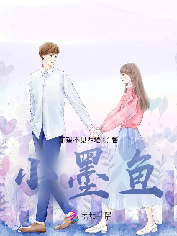 小墨鱼小说封面