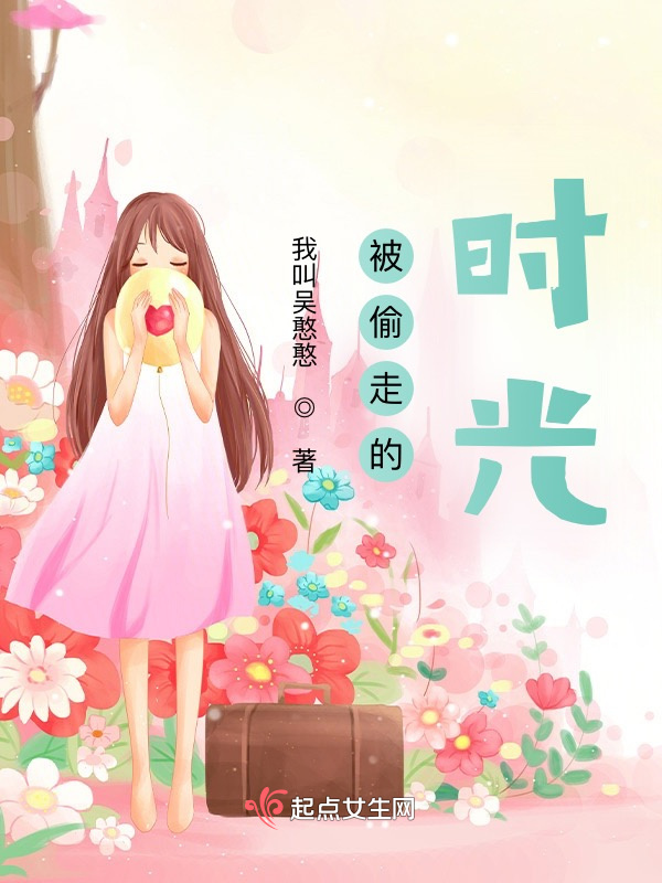 被偷走的时光小说封面