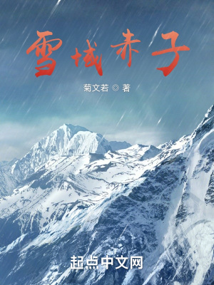 《雪域赤子》封面