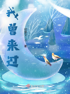 《我曾来过》封面