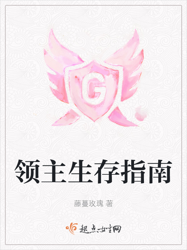 领主生存指南小说封面