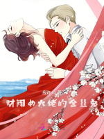 财阀女大佬的金丝兔