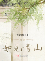 见君如见青山
