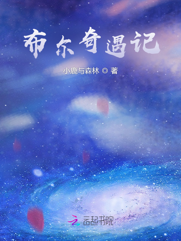布尔奇遇记小说封面