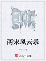 两宋风云录