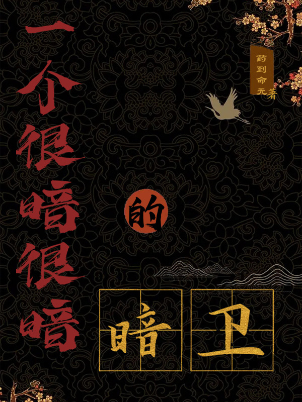 一个很暗很暗的暗卫小说封面