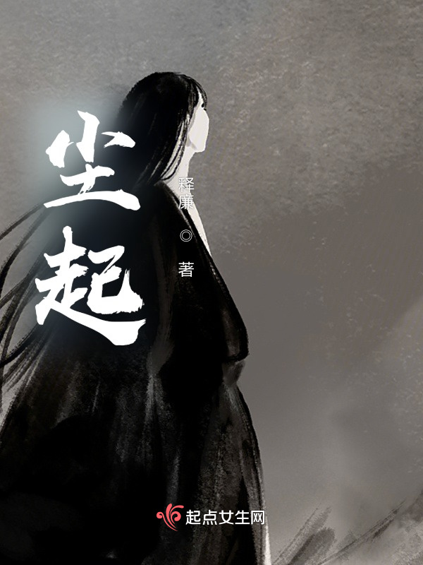 尘起小说封面