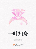 一叶知舟