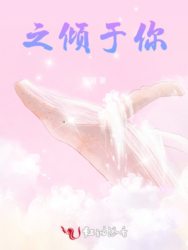 之倾于你小说封面