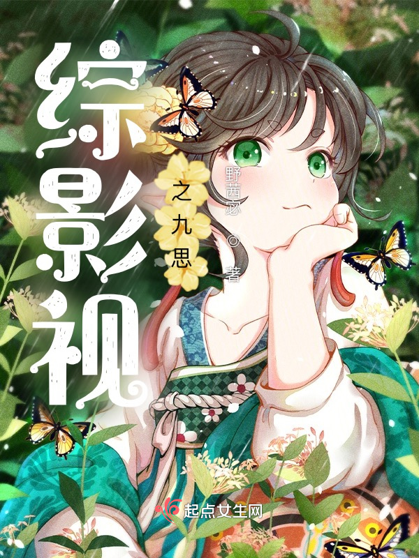 综影视之九思小说封面